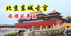 大牛子操逼视频中国北京-东城古宫旅游风景区